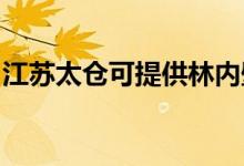 江蘇太倉可提供林內(nèi)壁掛爐維修服務地址在哪