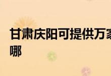 甘肅慶陽可提供萬家樂壁掛爐維修服務地址在哪
