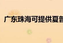 廣東珠?？商峁┫钠找繇懢S修服務地址在哪
