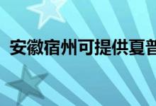 安徽宿州可提供夏普音響維修服務地址在哪