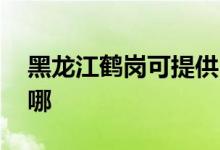 黑龍江鶴崗可提供LG吸塵器維修服務地址在哪
