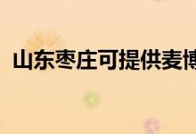 山東棗莊可提供麥博音響維修服務地址在哪