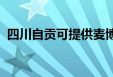 四川自貢可提供麥博音響維修服務地址在哪