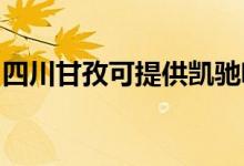 四川甘孜可提供凱馳吸塵器維修服務地址在哪