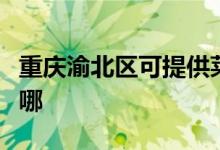 重慶渝北區(qū)可提供萊克吸塵器維修服務地址在哪
