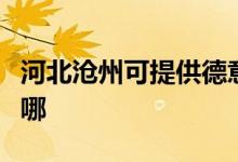 河北滄州可提供德意抽油煙機維修服務(wù)地址在哪