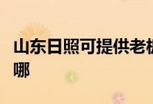 山東日照可提供老板抽油煙機維修服務地址在哪