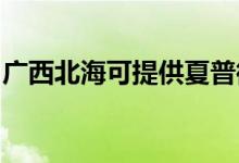 廣西北?？商峁┫钠瘴⒉t維修服務(wù)地址在哪