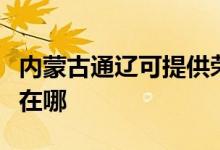 內(nèi)蒙古通遼可提供榮事達電磁爐維修服務(wù)地址在哪