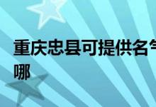 重慶忠縣可提供名氣抽油煙機維修服務(wù)地址在哪