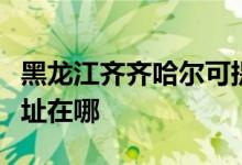 黑龍江齊齊哈爾可提供洛貝電磁爐維修服務地址在哪
