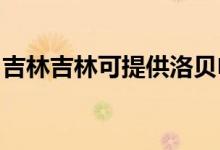 吉林吉林可提供洛貝電磁爐維修服務地址在哪