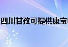 四川甘孜可提供康寶電磁爐維修服務地址在哪