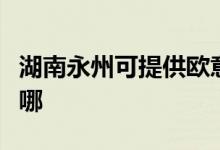 湖南永州可提供歐意抽油煙機維修服務地址在哪