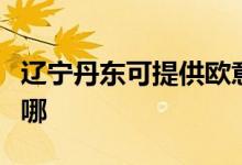 遼寧丹東可提供歐意抽油煙機維修服務地址在哪