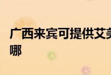 廣西來(lái)賓可提供艾美特電磁爐維修服務(wù)地址在哪