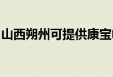 山西朔州可提供康寶電磁爐維修服務地址在哪