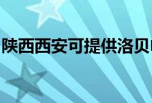 陜西西安可提供洛貝電磁爐維修服務地址在哪