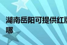 湖南岳陽可提供紅牌抽油煙機維修服務地址在哪