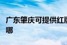 廣東肇慶可提供紅牌抽油煙機維修服務地址在哪