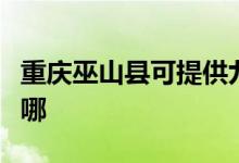 重慶巫山縣可提供九陽(yáng)電飯煲維修服務(wù)地址在哪