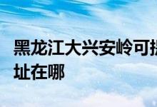 黑龍江大興安嶺可提供德意消毒柜維修服務地址在哪