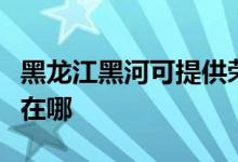 黑龍江黑河可提供榮事達電餅鐺維修服務地址在哪