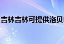吉林吉林可提供洛貝電餅鐺維修服務地址在哪