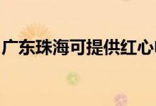 廣東珠海可提供紅心電餅鐺維修服務(wù)地址在哪