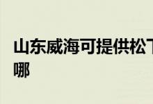 山東威?？商峁┧上码妷毫﹀伨S修服務(wù)地址在哪