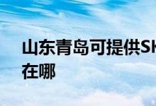 山東青島可提供SKG電壓力鍋維修服務地址在哪