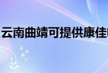 云南曲靖可提供康佳電火鍋維修服務地址在哪