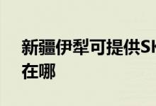 新疆伊犁可提供SKG電壓力鍋維修服務地址在哪