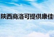 陜西商洛可提供康佳電火鍋維修服務地址在哪