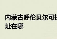 內(nèi)蒙古呼倫貝爾可提供海爾燃氣灶維修服務(wù)地址在哪