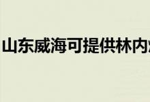 山東威?？商峁┝謨?nèi)燃?xì)庠罹S修服務(wù)地址在哪