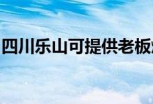 四川樂(lè)山可提供老板燃?xì)庠罹S修服務(wù)地址在哪