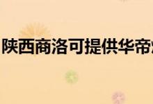 陜西商洛可提供華帝燃氣灶維修服務地址在哪