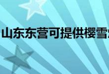 山東東營(yíng)可提供櫻雪燃?xì)庠罹S修服務(wù)地址在哪