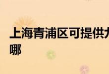 上海青浦區(qū)可提供九陽燃氣灶維修服務地址在哪