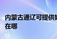內蒙古通遼可提供好太太燃氣灶維修服務地址在哪