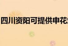 四川資陽可提供申花燃?xì)庠罹S修服務(wù)地址在哪