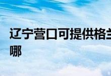 遼寧營口可提供格蘭仕熱水器維修服務地址在哪