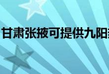 甘肅張掖可提供九陽(yáng)熱水器維修服務(wù)地址在哪