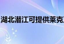 湖北潛江可提供萊克豆?jié){機維修服務(wù)地址在哪