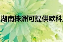 湖南株洲可提供歐科豆?jié){機維修服務(wù)地址在哪