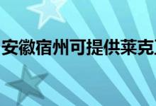安徽宿州可提供萊克豆?jié){機維修服務(wù)地址在哪