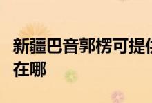新疆巴音郭楞可提供萊克豆?jié){機維修服務地址在哪