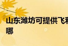 山東濰坊可提供飛利浦咖啡機維修服務地址在哪