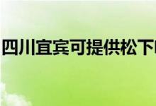 四川宜賓可提供松下咖啡機維修服務地址在哪